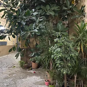  Apartment The Paradise House